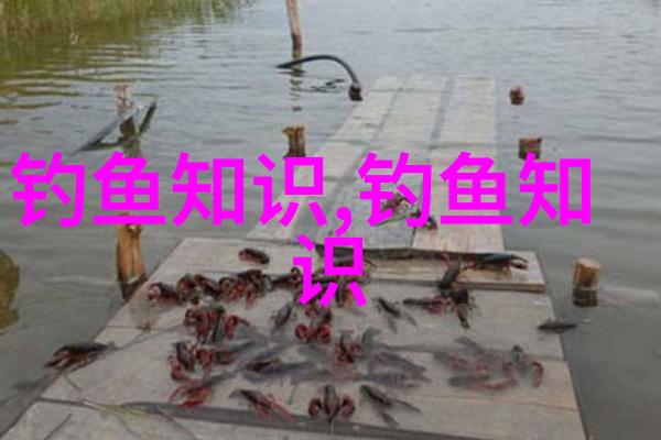 鱼饵的几种挂法