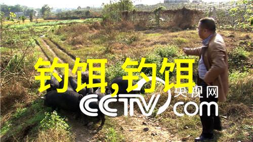 上海市首次男子千人演练太极拳八法五步